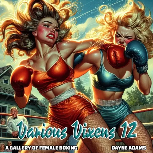 Digital Dames 102: Various Vixens 12