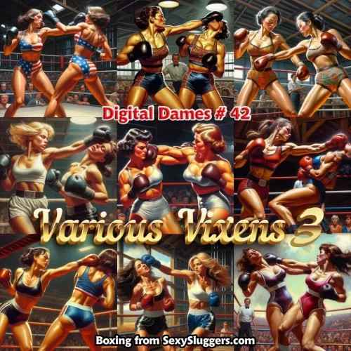 Digital Dames 42: Various Vixens 3